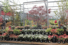 Barton Grange Garden Centre